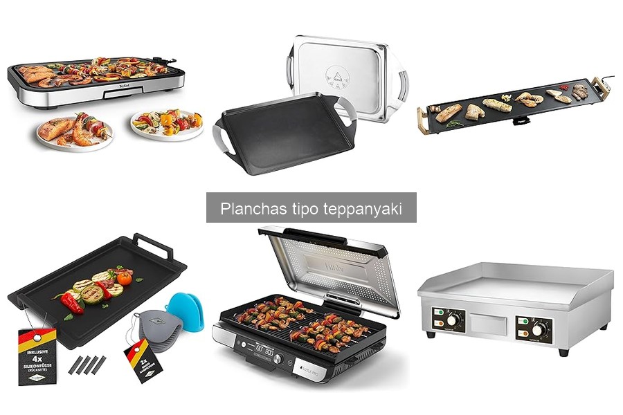 Alimentos ideales para cocinar en planchas tipo teppanyaki