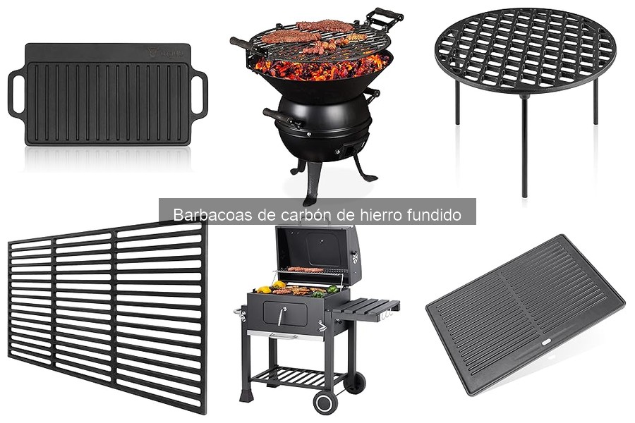 Alternativas a las Barbacoas de Carbón de Hierro Fundido