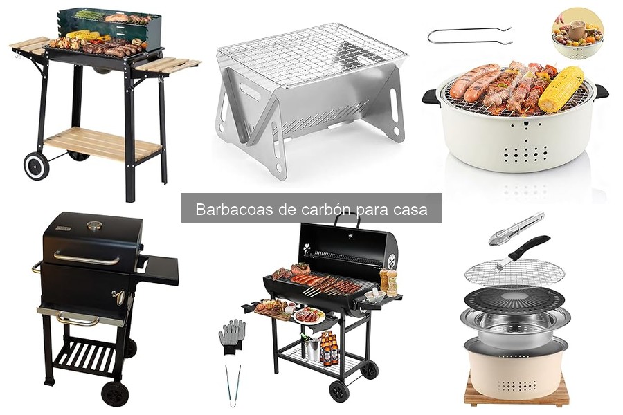 Alternativas a las Barbacoas de Carbón para Cocinar en Casa