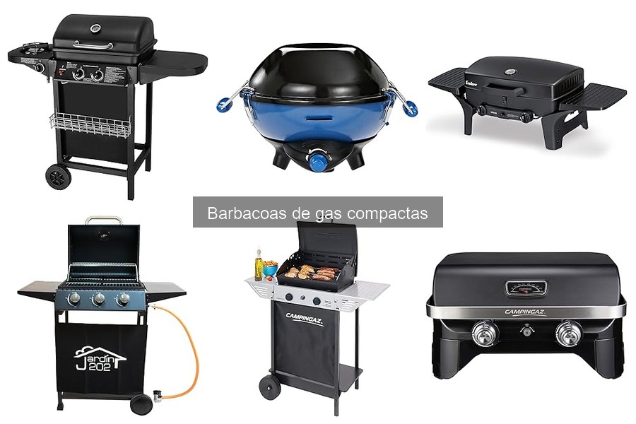 Alternativas a las Barbacoas de Gas Compactas para Cocinar