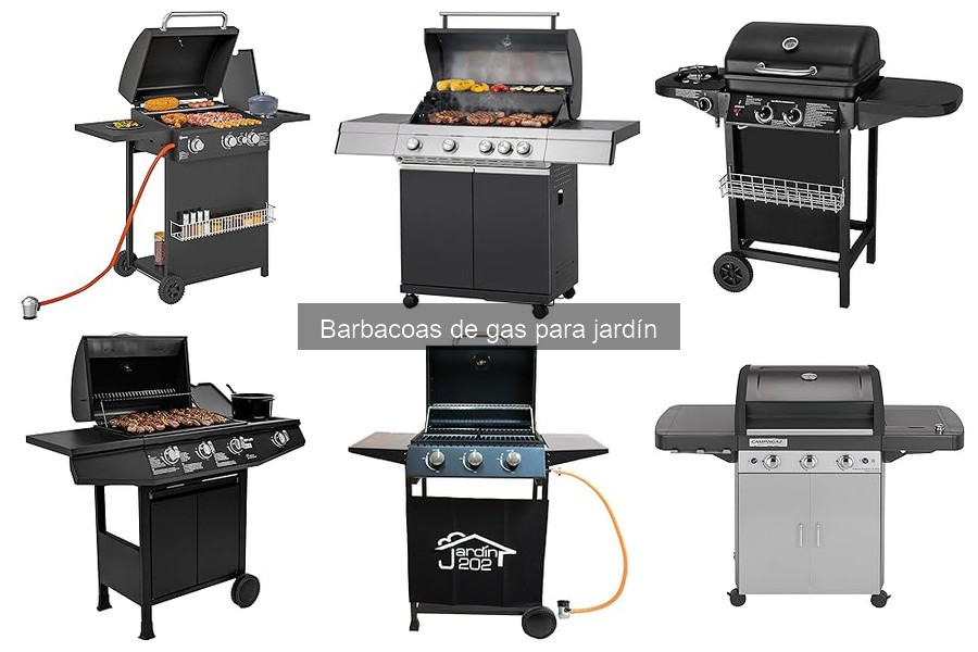 Alternativas a las Barbacoas de Gas: Comparativa y Ventajas