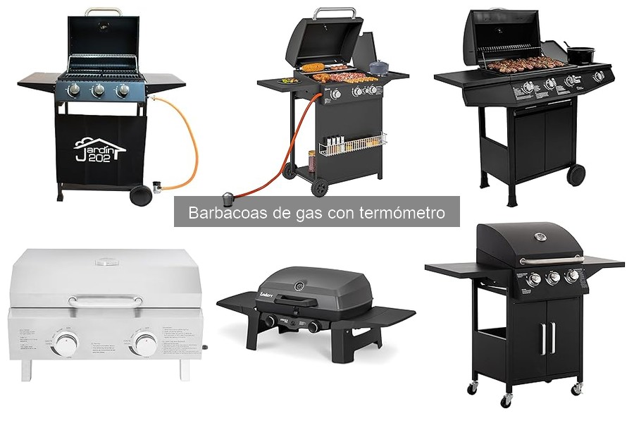¿Barbacoa de gas con termómetro? Ideal para principiantes