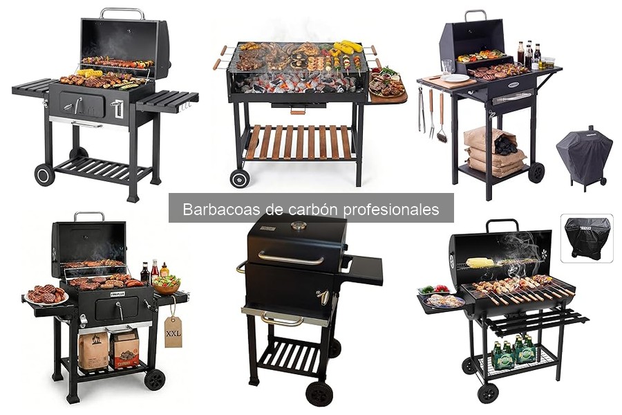 Comparativa: Barbacoas de carbón vs. gas para tu hogar