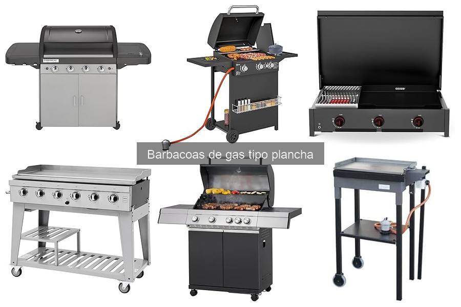 Comparativa: Barbacoas de Gas vs Carbón para tu Cocina Rústica