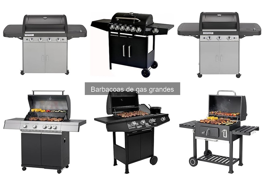 Coste promedio de una barbacoa de gas grande: guía y precios