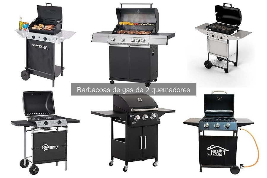 ¿Cuánto cuesta una barbacoa de gas de 2 quemadores?