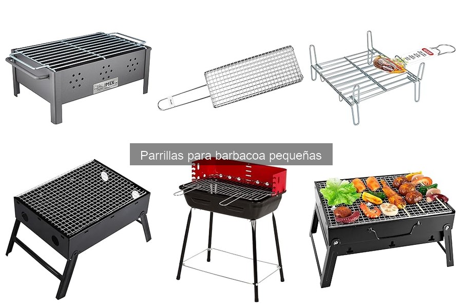 Guía de compra para parrillas pequeñas y ideales para picnics