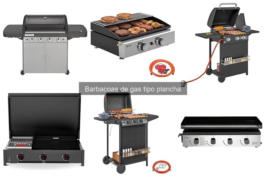 Guía de compra: ¿Qué considerar al elegir una barbacoa de gas?