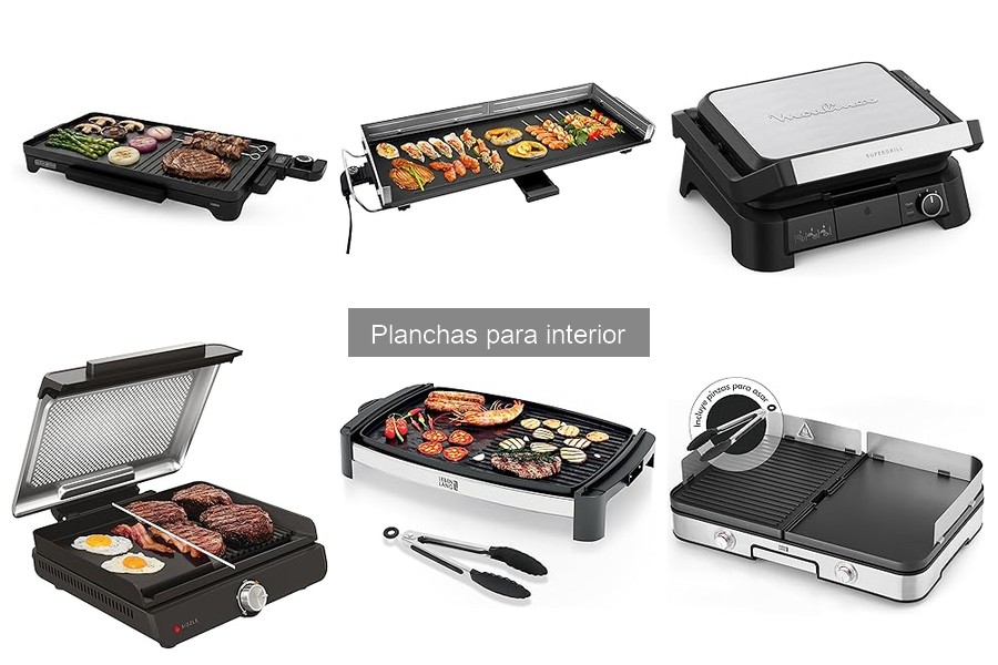 Las Mejores Planchas para Interiores en 2023