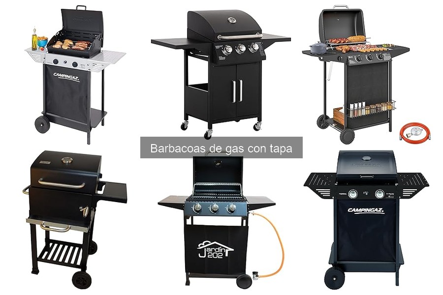 Mantenimiento de Barbacoas de Gas con Tapa: Guía Práctica