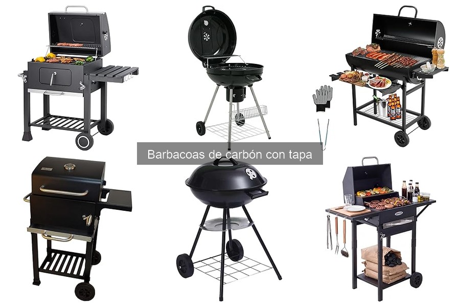 Mejores barbacoas de carbón con tapa para principiantes