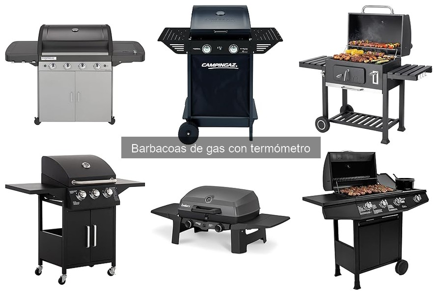 Mejores Barbacoas de Gas con Termómetro en 2023