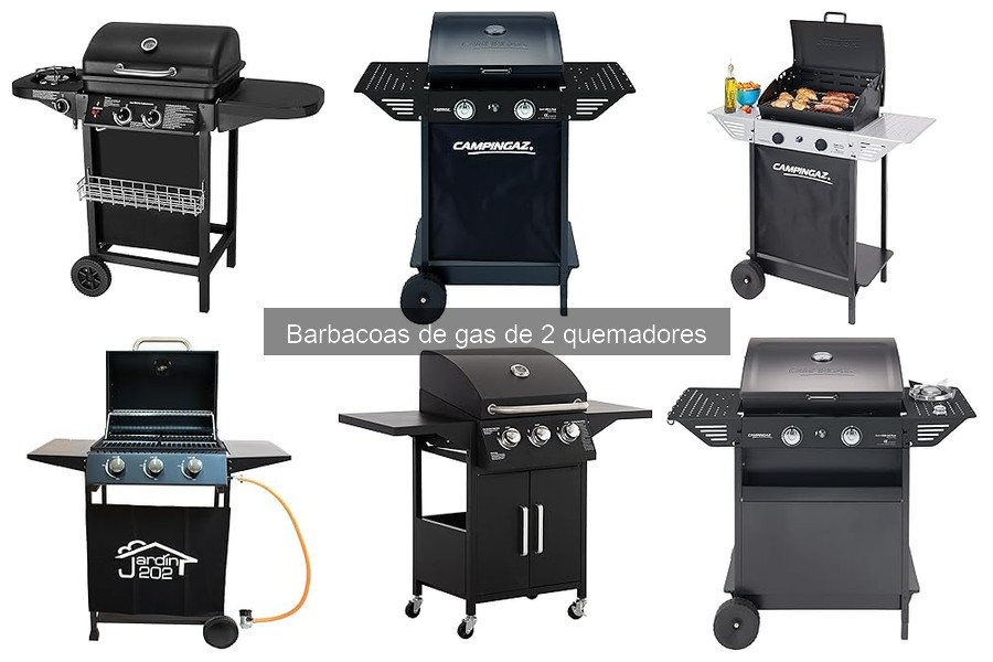 Mejores Barbacoas de Gas de 2 Quemadores en 2023