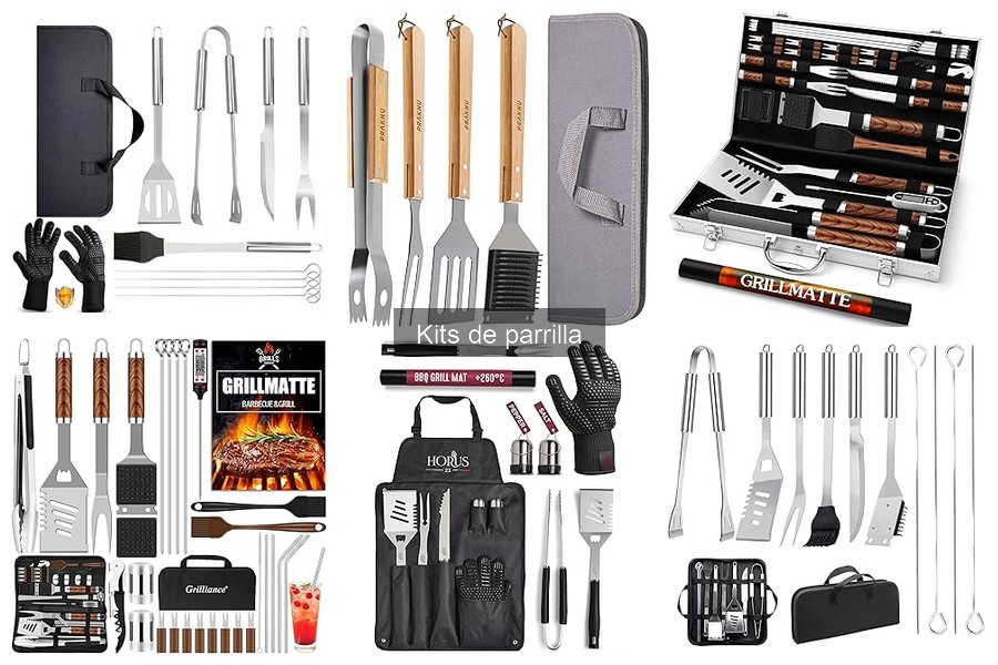Mejores kits de parrilla para principiantes en 2023