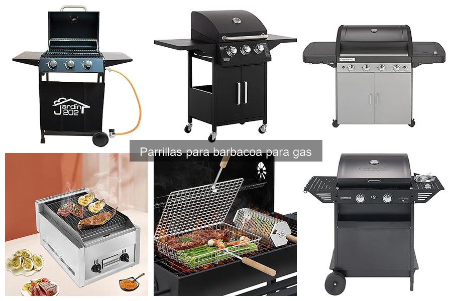 Mejores recetas para cocinar en parrilla a gas en casa