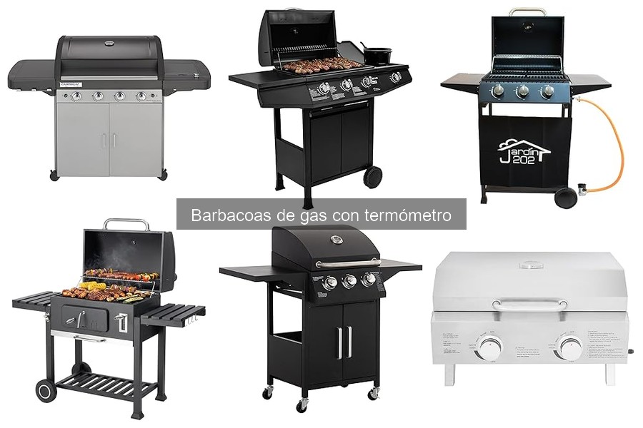 Opiniones sobre Barbacoas de Gas con Termómetro