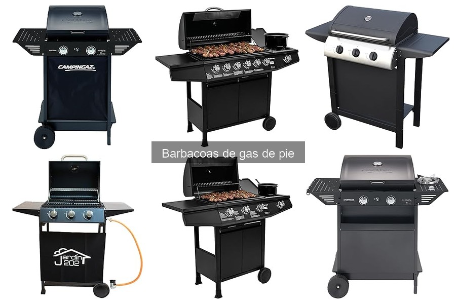 Opiniones sobre Barbacoas de Gas de Pie Más Populares