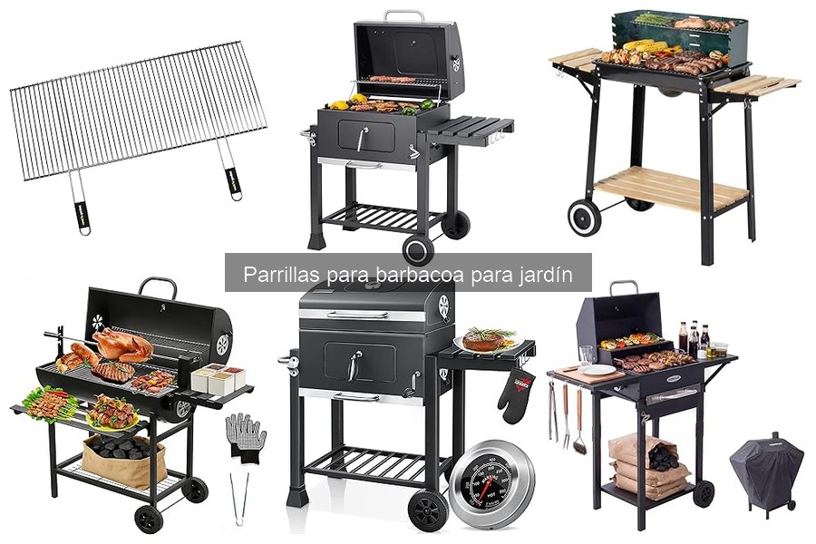 ** Opiniones sobre parrillas de barbacoa de gas para jardín
