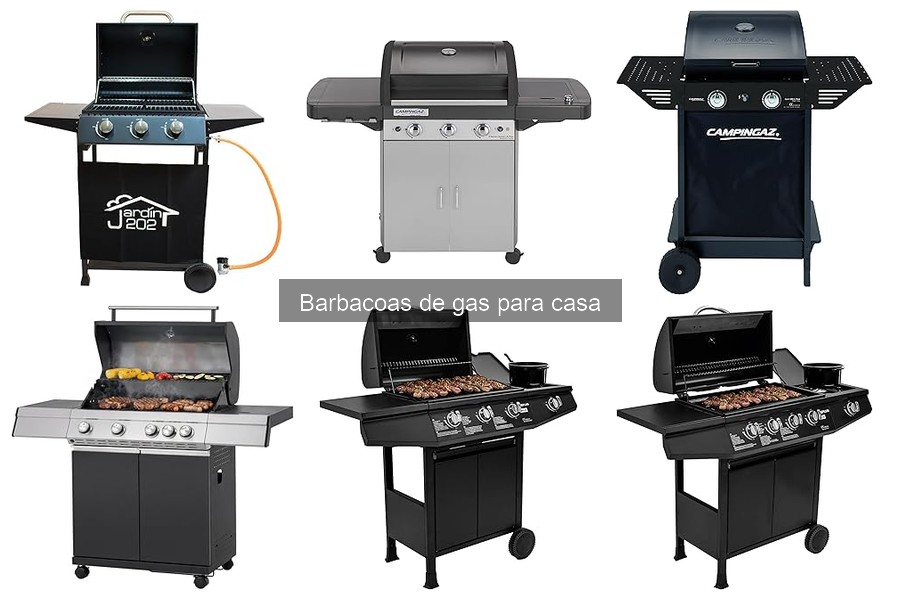 ¿Por qué elegir una barbacoa de gas en lugar de carbón?