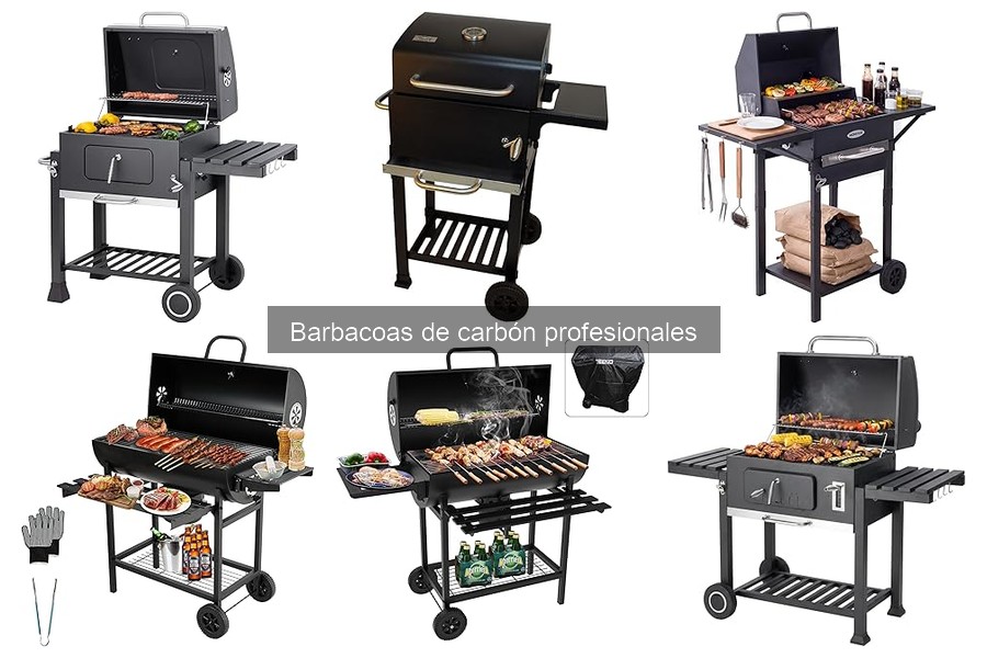 ¿Qué es una barbacoa de carbón profesional? Descubre sus características