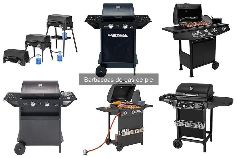 ¿Qué es una barbacoa de gas de pie? Descubre sus características