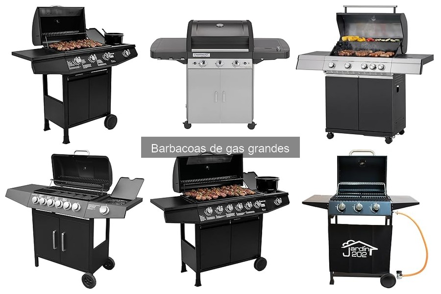 ¿Qué es una barbacoa de gas grande? Características y diferencias