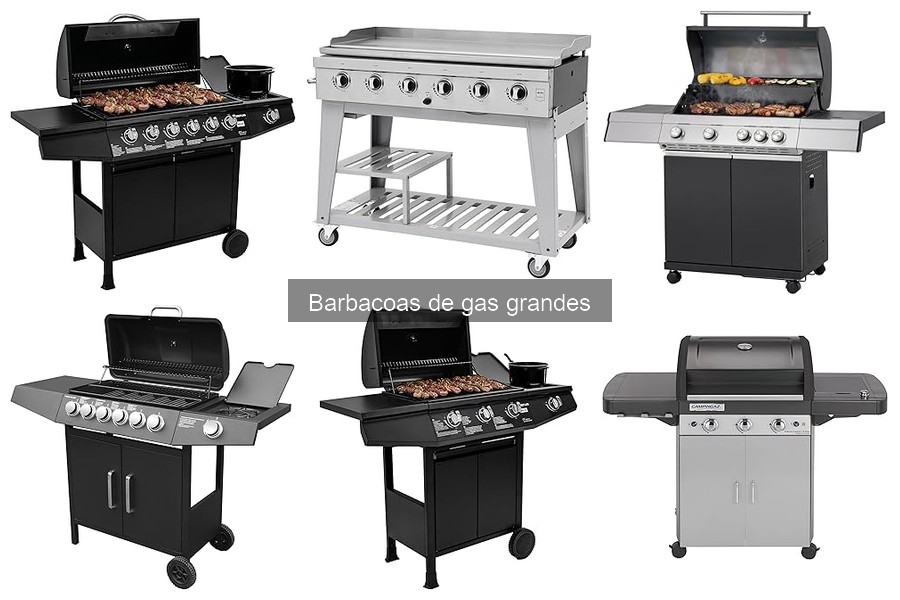 Recetas deliciosas para barbacoa de gas grande