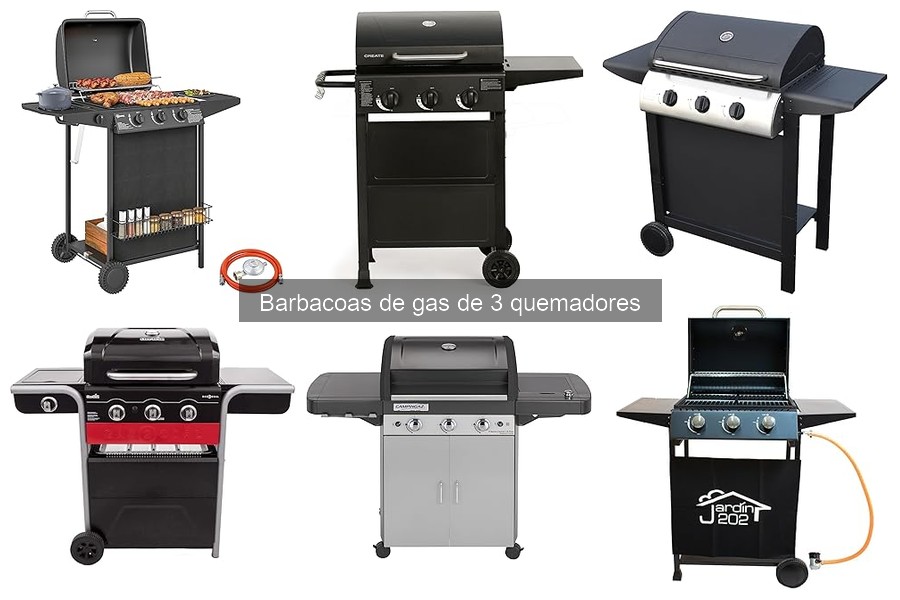 Recetas deliciosas para barbacoas de gas de 3 quemadores