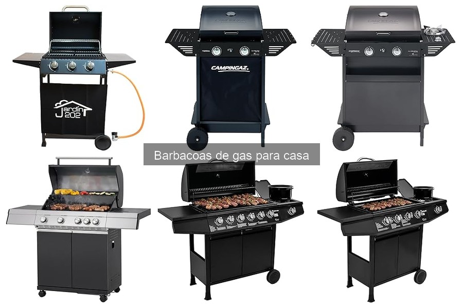 Recetas deliciosas para barbacoas de gas en casa