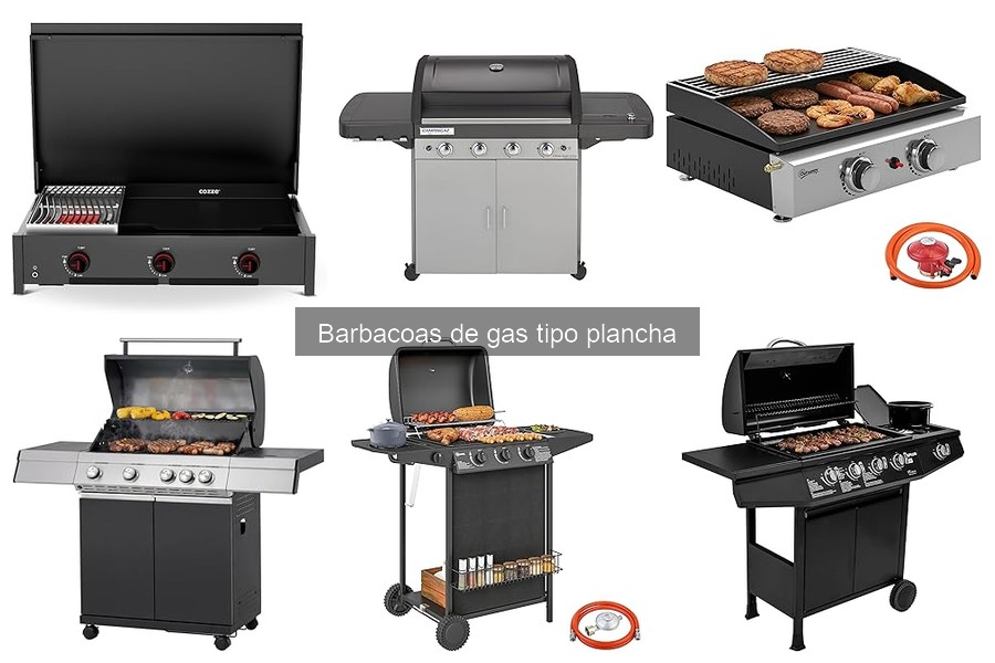 Recetas fáciles para tu barbacoa de gas tipo plancha