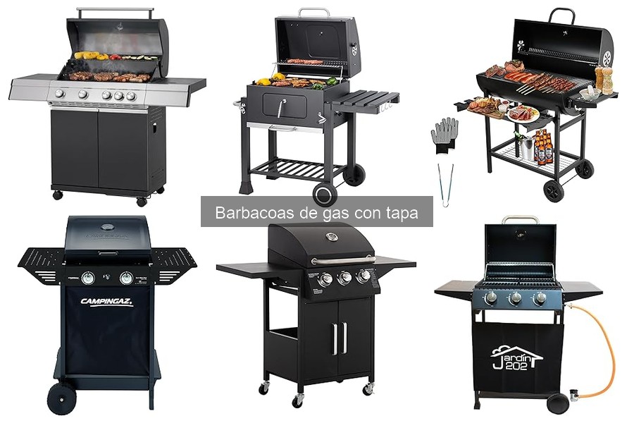 Recetas perfectas para barbacoas de gas con tapa