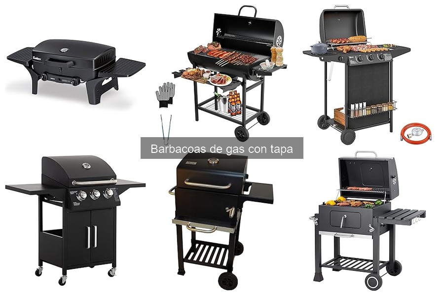 Soluciones a Problemas Comunes de Barbacoas de Gas con Tapa
