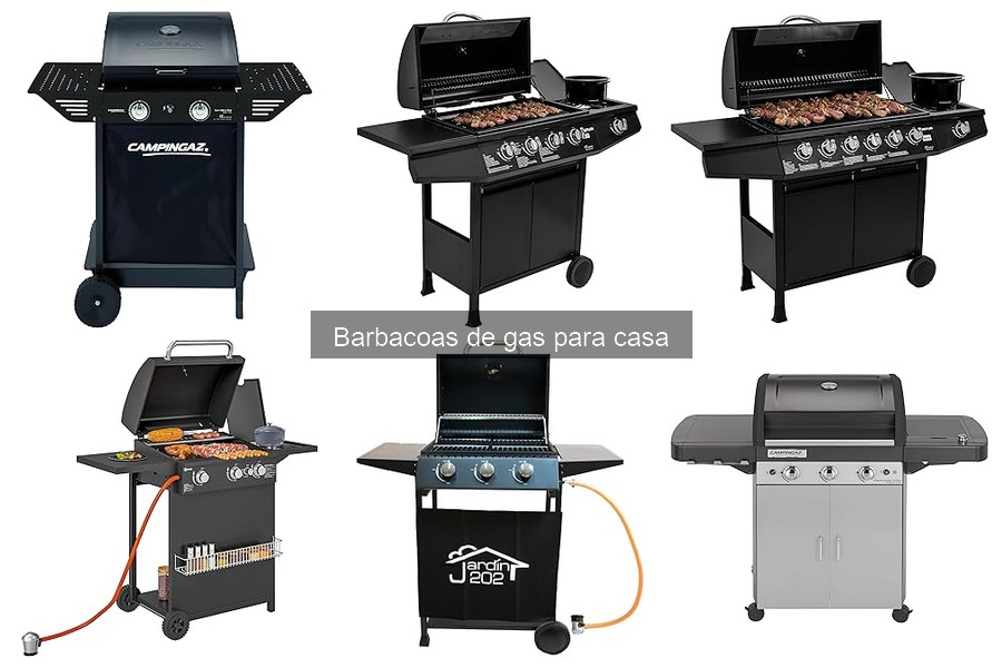Tipos de barbacoas de gas: modelos y características