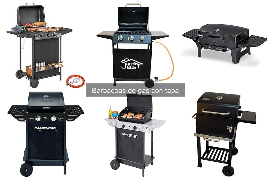 Ventajas y desventajas de las barbacoas de gas con tapa